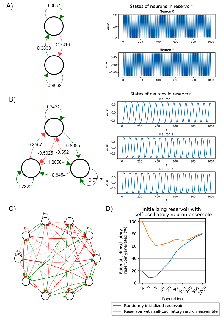 Examples of self-oscillatory neuron ensembles